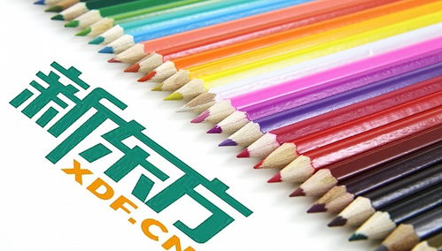 新東方跨界布局 成立新公司，進(jìn)軍教具、工藝美術(shù)品及禮儀用品銷售領(lǐng)域