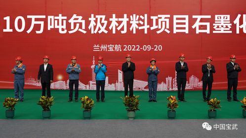 寶武碳業(yè)十萬噸負(fù)極材料項(xiàng)目獲重要進(jìn)展，新材料技術(shù)研發(fā)引領(lǐng)鋰離子電池行業(yè)發(fā)展